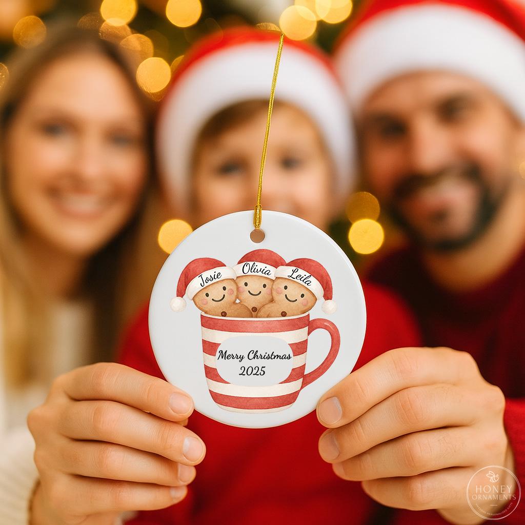 Family Name Christmas Tree Ornaments Personalized Family Name Ornament Christmas Tree Ornament Family Names 2026 Custom Holiday Keepsake