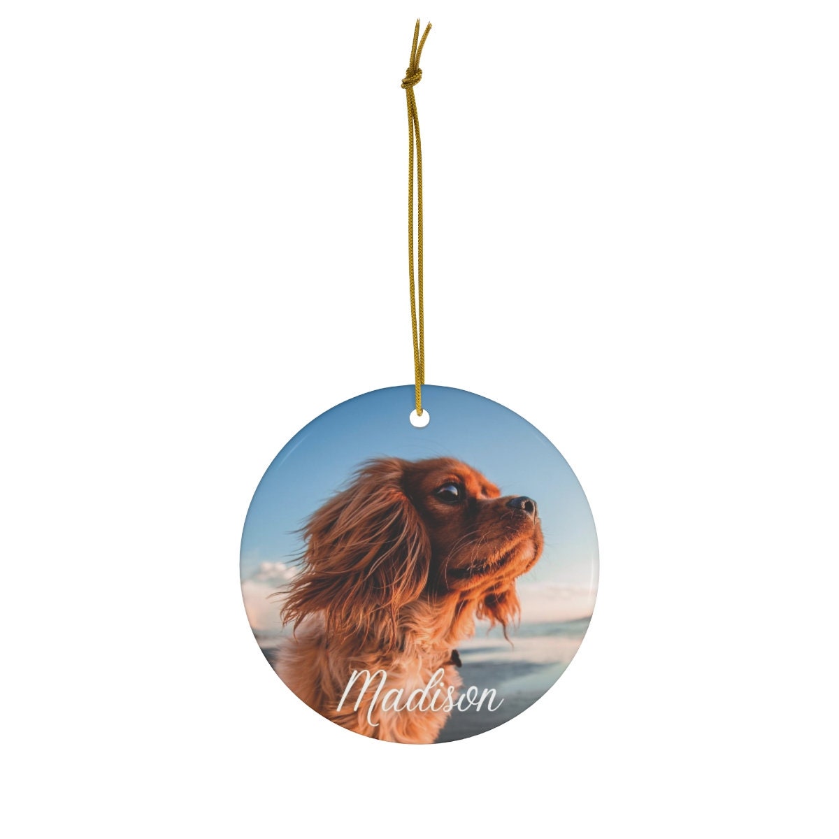 Personalized Pet Loss Gift, Pet Memorial Gift, Cat Loss Gift, Dog Mom Gift, Pet Sympathy Gift, Christmas Ornaments, Pet Bereavement Gift